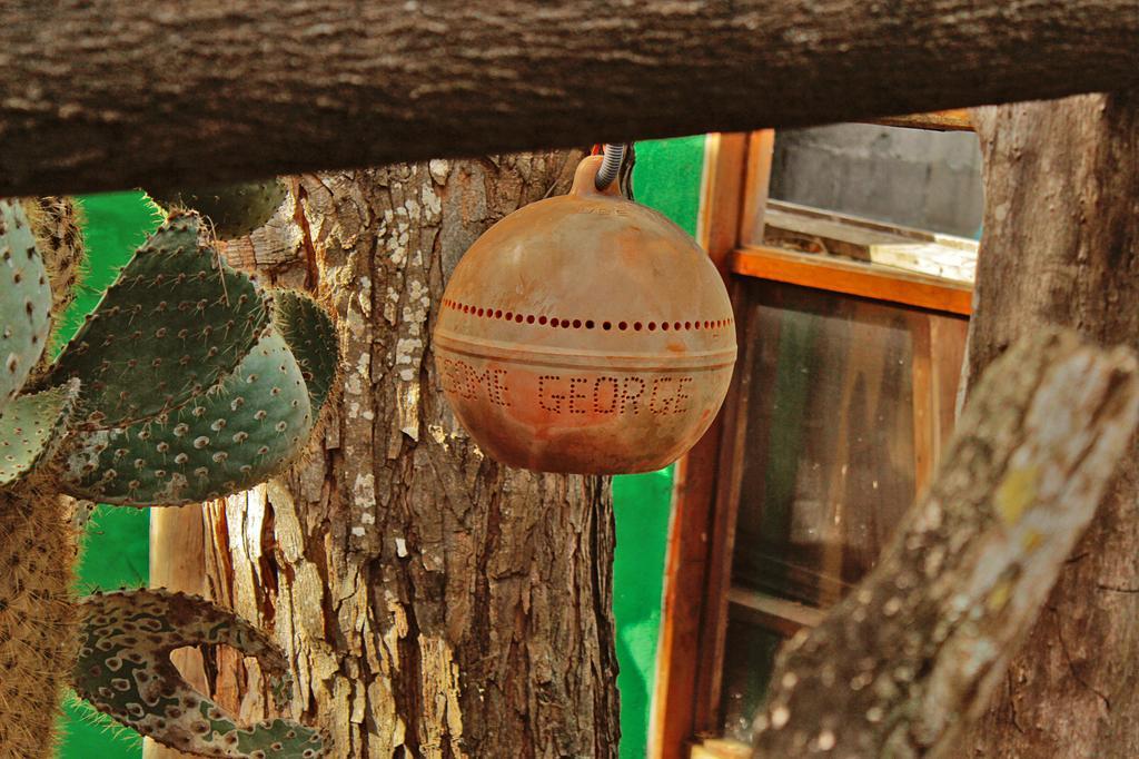 Lonesome George Ecolodge Puerto Ayora (Galapagos Islands) Exterior foto
