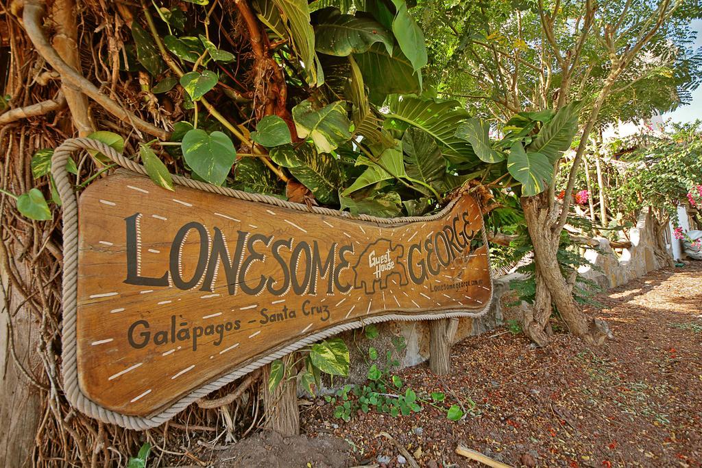 Lonesome George Ecolodge Puerto Ayora (Galapagos Islands) Exterior foto