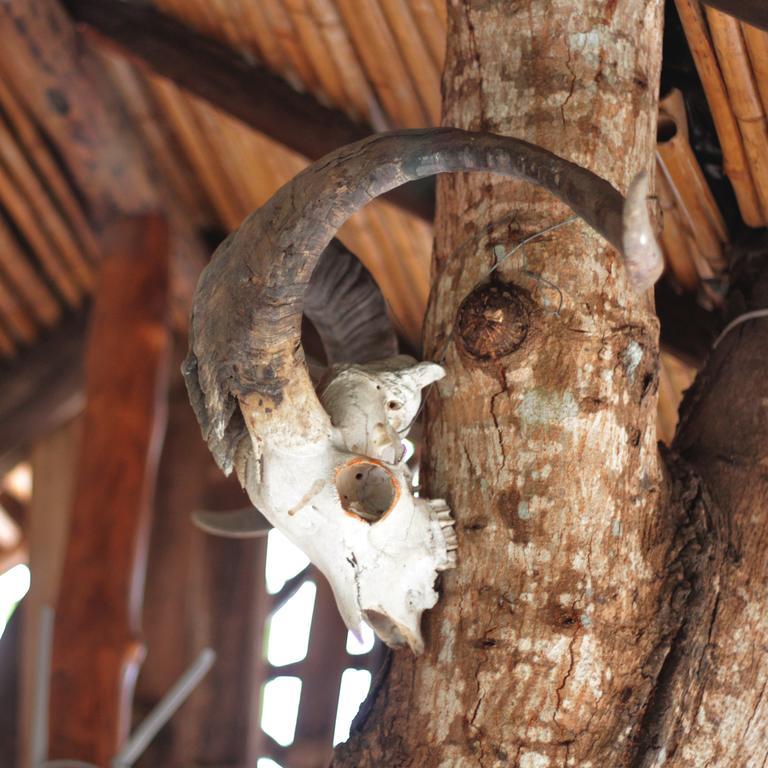 Lonesome George Ecolodge Puerto Ayora (Galapagos Islands) Exterior foto